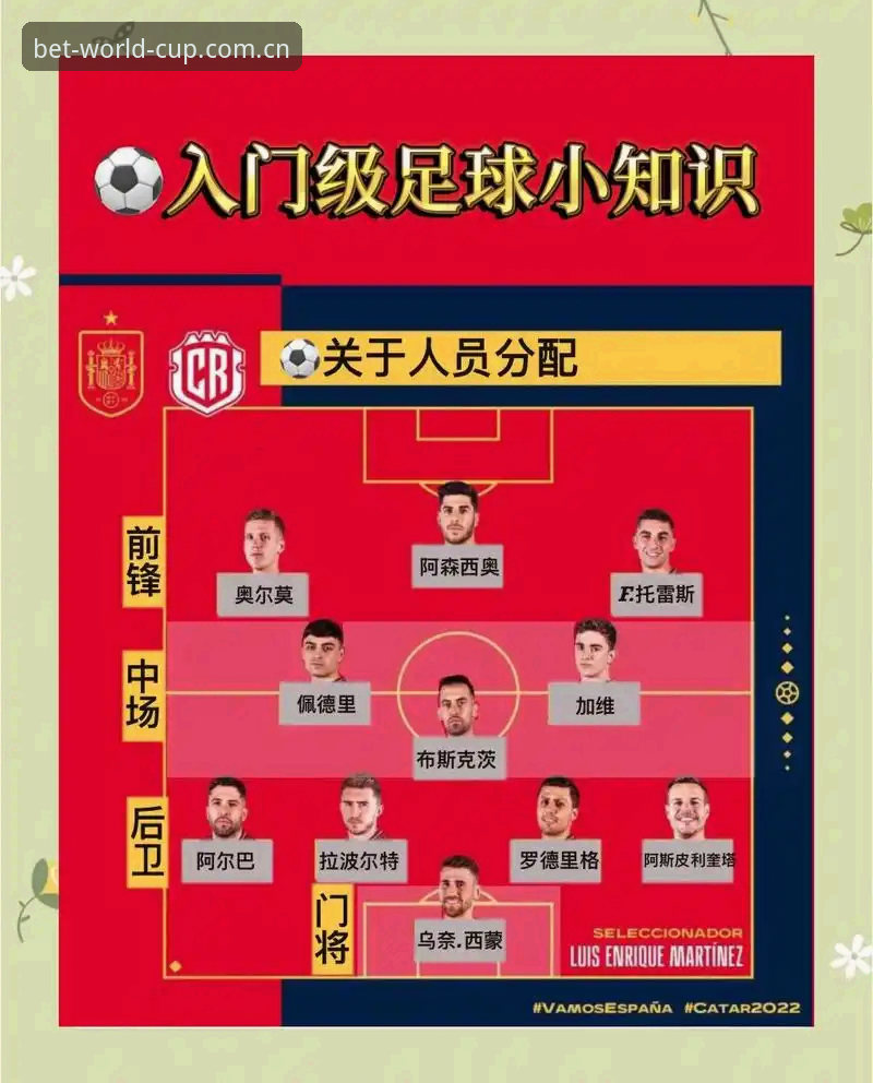 资深玩家分享世界杯下注教程攻略：从新手到高手的实战心得